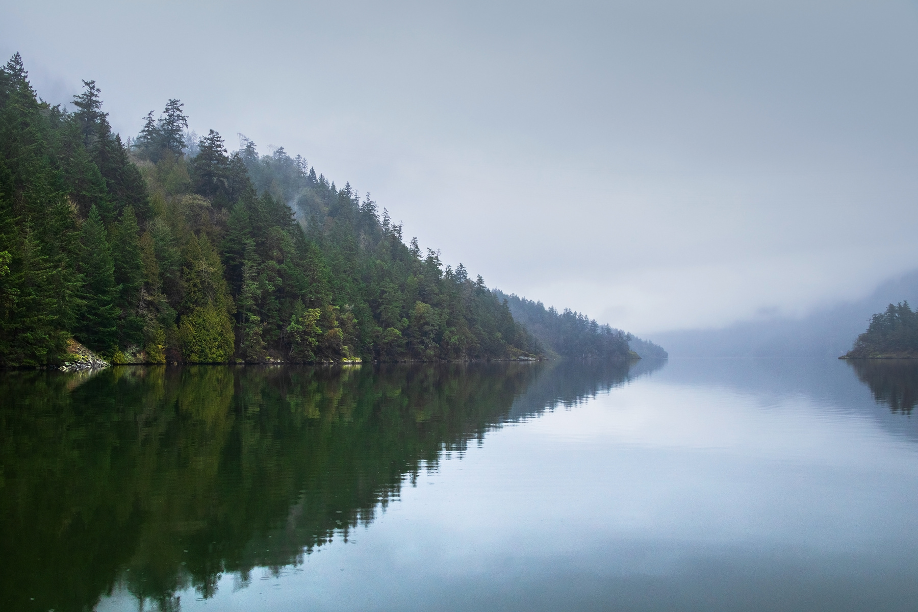 Saanich Inlet Reflections